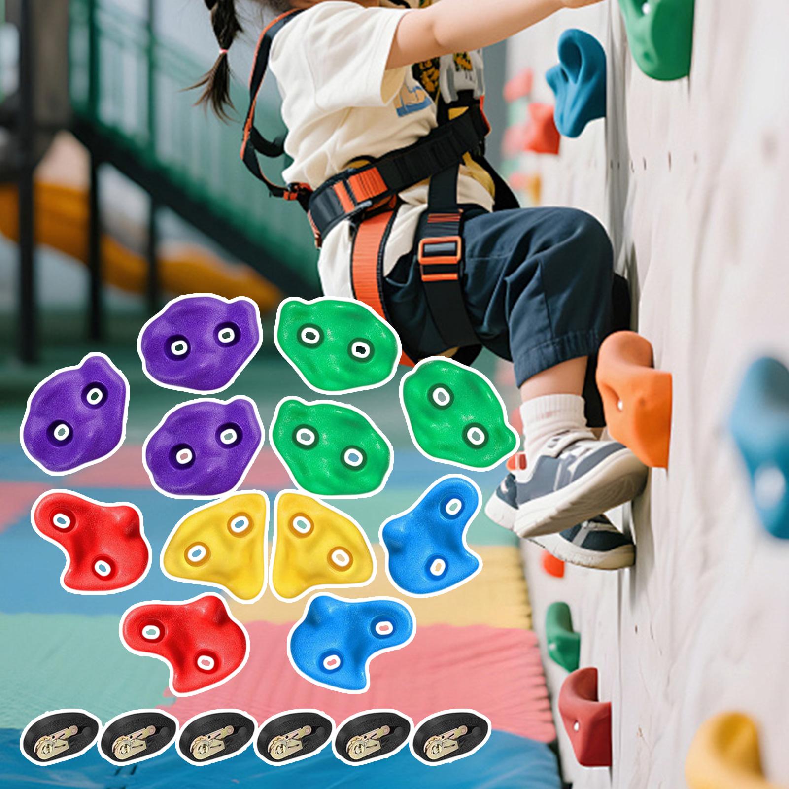 Tree Climbing Equipment Heavy  - Heavy Equipment Course ulasan dan harga