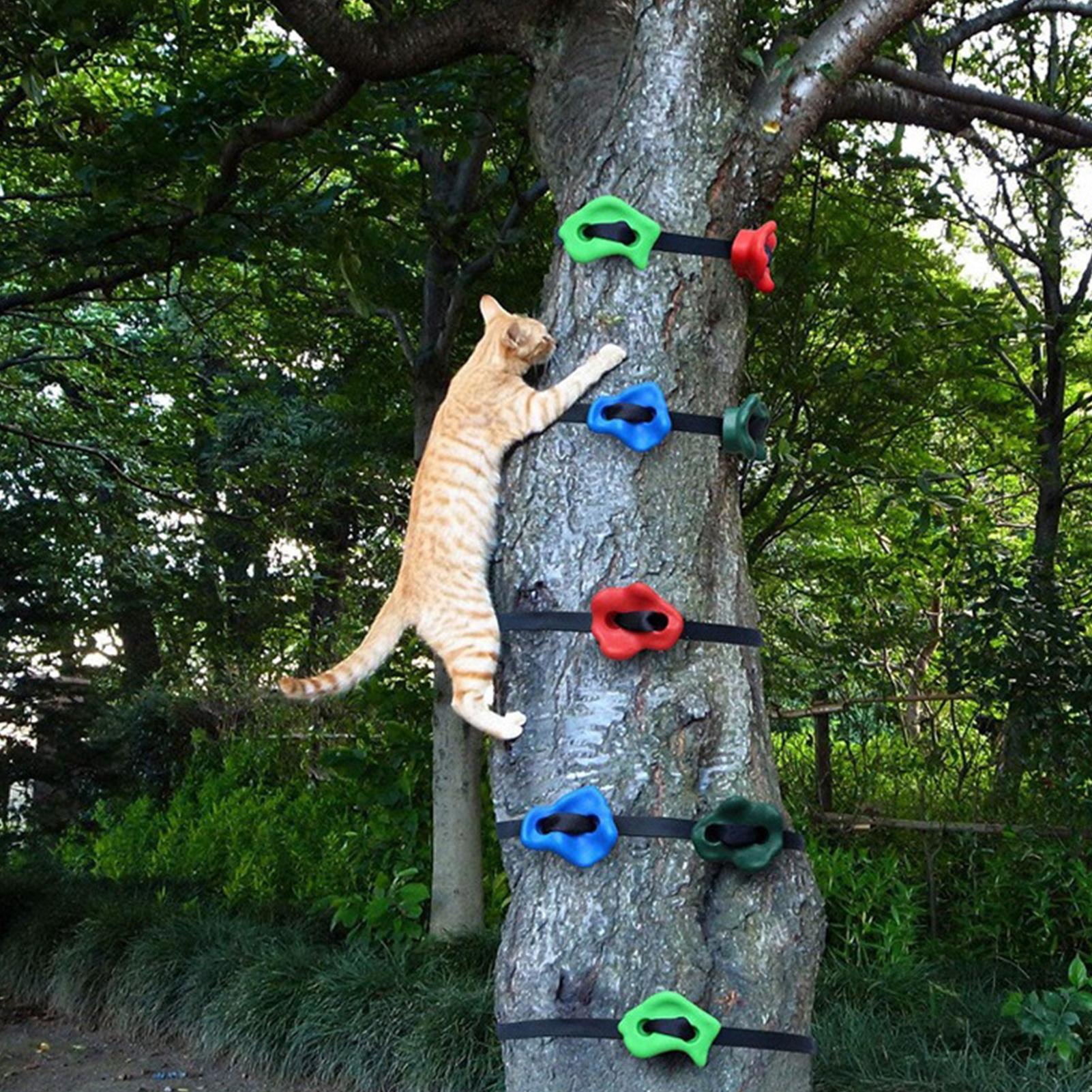 Tree Climbing Gear Adjustable  - Heavy Equipment Course ulasan dan harga